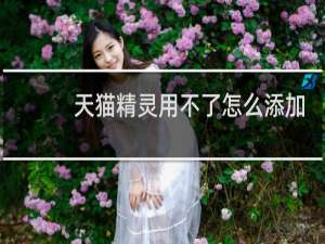 天貓精靈用不了怎么添加