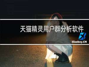天貓精靈用戶群分析軟件