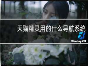 天猫精灵用的什么导航系统