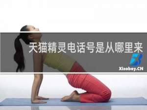 天猫精灵电话号是从哪里来