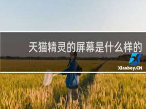 天猫精灵的屏幕是什么样的