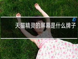天猫精灵的屏幕是什么牌子