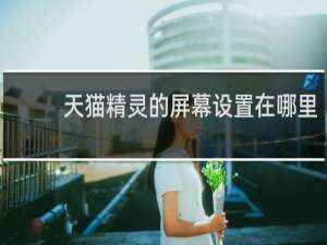 天猫精灵的屏幕设置在哪里