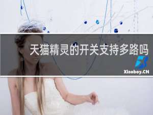 天猫精灵的开关支持多路吗