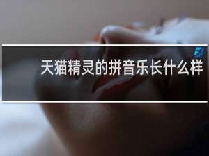 天猫精灵的拼音乐长什么样