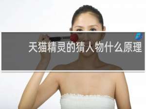 天貓精靈的猜人物什么原理