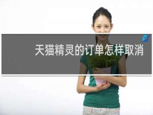 天猫精灵的订单怎样取消