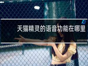 天猫精灵的语音功能在哪里