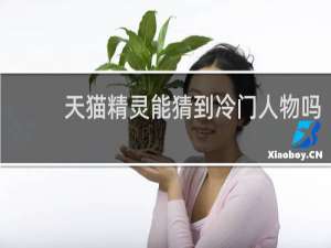 天猫精灵能猜到冷门人物吗