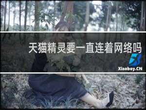 天猫精灵要一直连着网络吗