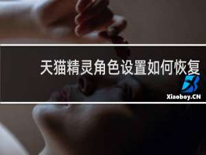 天貓精靈角色設置如何恢復