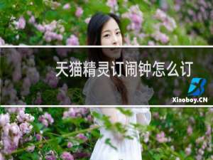 天猫精灵订闹钟怎么订