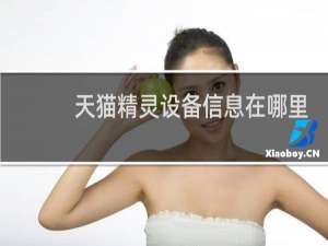 天貓精靈設備信息在哪里