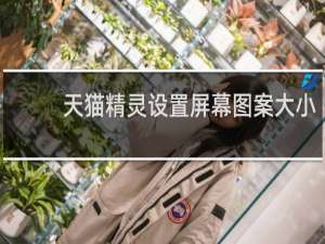 天貓精靈設置屏幕圖案大小