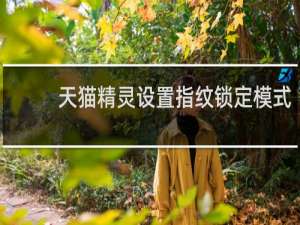 天猫精灵设置指纹锁定模式