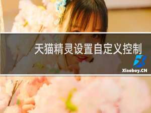 天貓精靈設置自定義控制