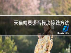 天猫精灵语音模块接线方法