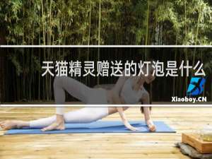 天猫精灵赠送的灯泡是什么