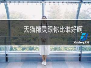 天貓精靈跟你比誰好啊