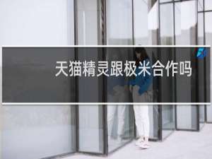天貓精靈跟極米合作嗎