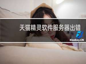 天猫精灵软件服务器出错