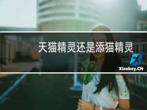 天猫精灵还是添猫精灵