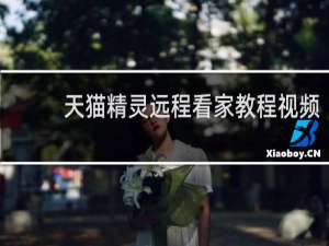 天猫精灵远程看家教程视频