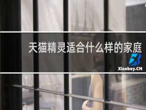 天猫精灵适合什么样的家庭