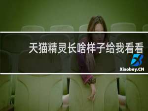 天猫精灵长啥样子给我看看