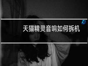 天貓精靈音響如何拆機