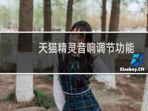 天貓精靈音響調節功能