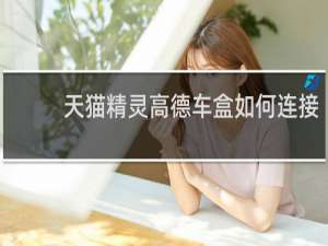 天貓精靈高德車盒如何連接