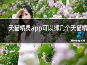 天猫精灵app可以绑几个天猫精灵