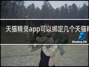 天猫精灵app可以绑定几个天猫精灵