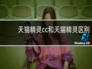天猫精灵cc和天猫精灵区别