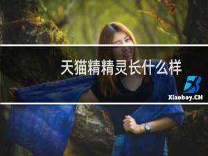 天猫精精灵长什么样