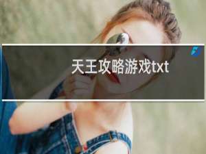 天王攻略游戏txt