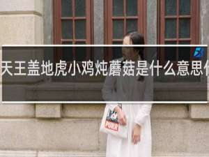 天王盖地虎小鸡炖蘑菇是什么意思什么梗