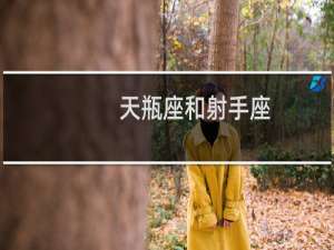 天瓶座和射手座