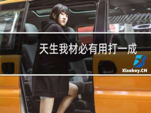 天生我材必有用打一成语（天生我材必有用作文）