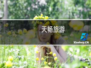 天畅旅游