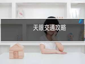 天眼交通攻略