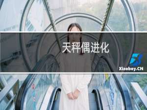 天秤偶进化