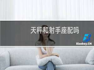 天秤和射手座配吗