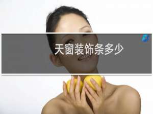 天窗装饰条多少