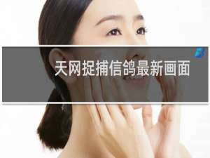 天网捉捕信鸽最新画面