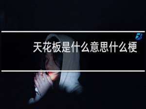 天花板是什么意思什么梗