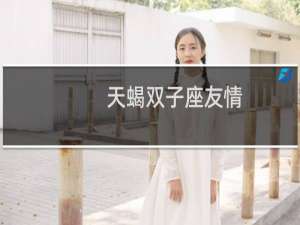 天蝎双子座友情
