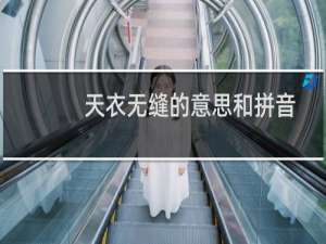 天衣无缝的意思和拼音是什么（天衣无缝的意思是什么）