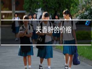 天香粉的价格